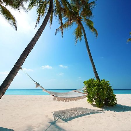 Апартаменти Costa Fina Ph Плайя-дель-Кармен Екстер'єр фото